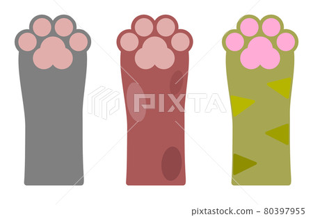 按動物手和爪子類型的插圖 按動物手和爪子類型的插圖 80397955