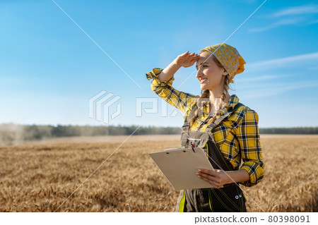 Farmer woman standing on grain field to be harvested Farmer woman standing on grain field to be harvested 80398091