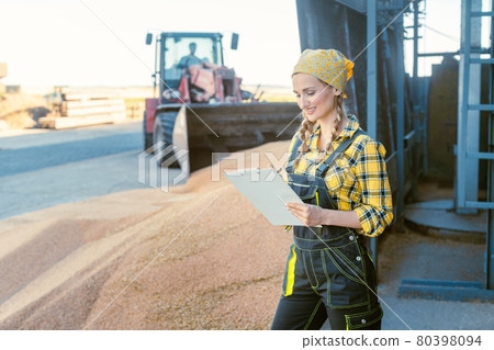 Grain being stored in granary or storage house with farmer keeping track Grain being stored in granary or storage house with farmer keeping track 80398094