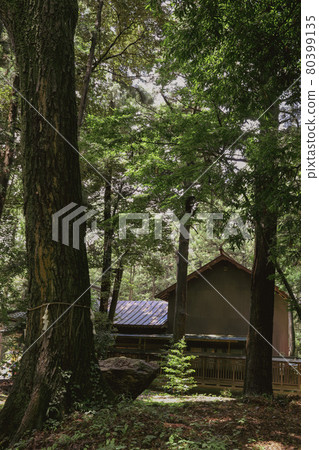 Summer Tabata Hachimangu 80399135