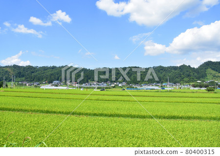 Scenery from the Yamagata Railway Flower Nagai Line and the train window in the summer of 2020 80400315