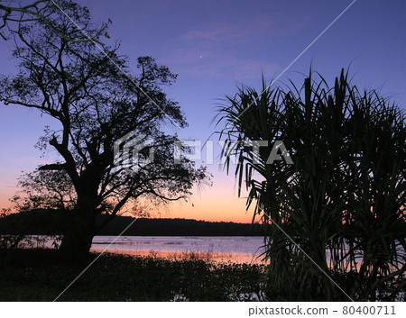 Island Sri Lanka (Ceylon), sunset on lake 80400711