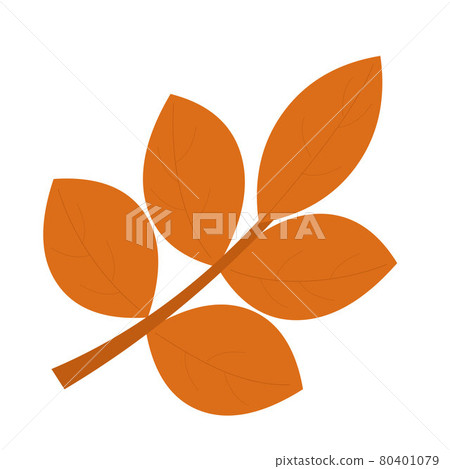 Orange leaf Flat vector illustration on white background 80401079