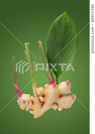 Ginger and ginger leaves isolated on a green background 80401490