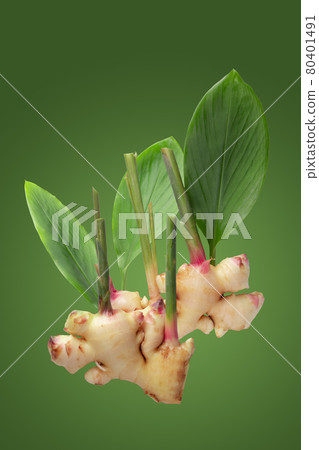 Ginger and ginger leaves isolated on a green background Ginger and ginger leaves isolated on a green background 80401491