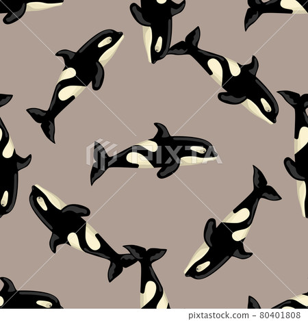 Seamless pattern Orca on brown background. Template of cartoon character of ocean for children. 80401808