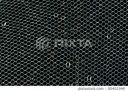 Background of the grid on drops of water close-up, isolated on black background Background of the grid on drops of water close-up, isolated on black background 80402946