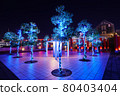 Night view of Tokyo Harumi Passenger Terminal 80403404