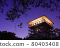 Kawasaki Ikuta Ryokuchi Night view of Masugatayama Observatory 80403408