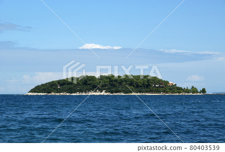 Seascape on a clear summer day 80403539