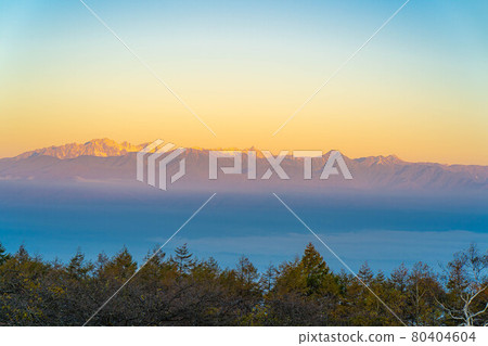 深秋從高寶知高原看北阿爾卑斯山的摩根羅特[長野縣] 80404604