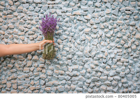A bouquet of fresh lavender in a female hand against the background of a blue old stone wall. copy space A bouquet of fresh lavender in a female hand against the background of a blue old stone wall. copy space 80405005