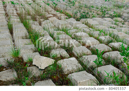 area covered with flexible concrete mat to prevent erosion, laid on the ground, with plants growing through it area covered with flexible concrete mat to prevent erosion, laid on the ground, with plants growing through it 80405337
