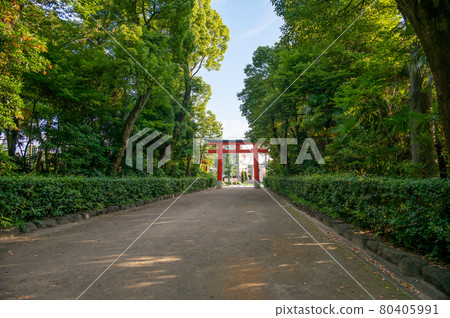 Ikusa八幡宮 80405991