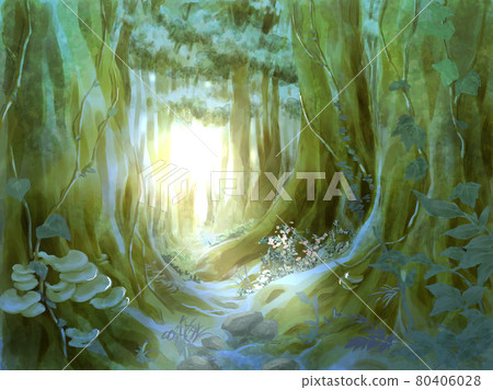 The depths of the forest (background) 80406028