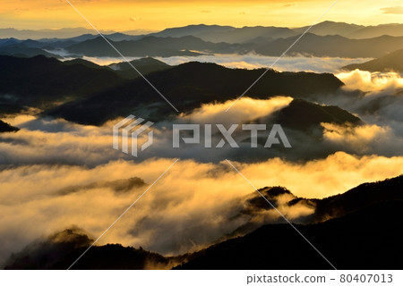 野坂川村的雲海 80407013