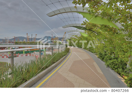 the seasonal walkways at Kai Tak Sky Garden, HK 25 June 2021 the seasonal walkways at Kai Tak Sky Garden, HK 25 June 2021 80407266