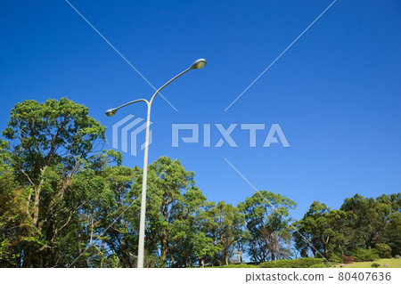 藍天和路燈 80407636