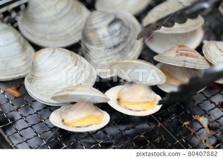 Grill hard clams on a barbecue stove Grill hard clams on a barbecue stove 80407882