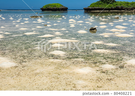 Amazing sand mounds on paradise beach at low tide. Iriomote Island. 80408221