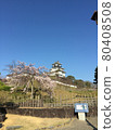 Kakegawa Castle 80408508
