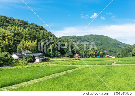 Sanin Shimane region midsummer rural landscape Sanin Shimane region midsummer rural landscape 80408790