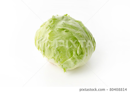 lettuce	 80408814