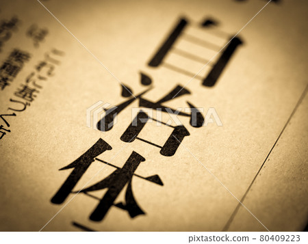 "Local government" heading "Local government" heading 80409223