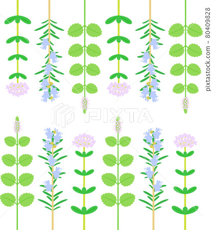Herbal decoration illustration Herbal decoration illustration 80409828