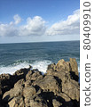 Tojinbo 80409910