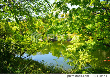 目白花園 80410441