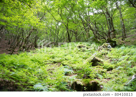 稻村岳 / 女子小峰 80410813