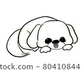 一隻會睡的小白狗，北京犬很可愛 80410844