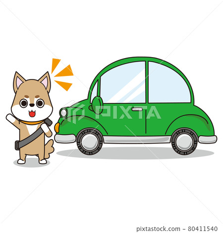 Dogs and cars that recommend safe driving Dogs and cars that recommend safe driving 80411540