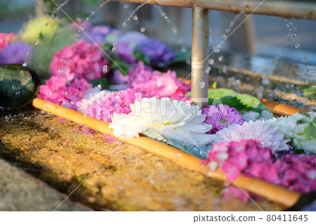 水滴和花手水 80411645