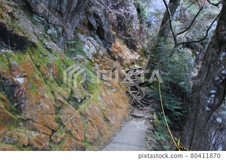 View of mountain climbing course from Ryumonkyo mountain entrance to the summit (Tendoiwa) 80411870