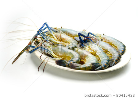 Fresh Prawn, River Shrimp on white plate. Fresh Prawn, River Shrimp on white plate. 80413458