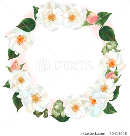 Beautiful white background wreath frame illustration material with white rose flowers and pink buds and plants Beautiful white background wreath frame illustration material with white rose flowers and pink buds and plants 80415628