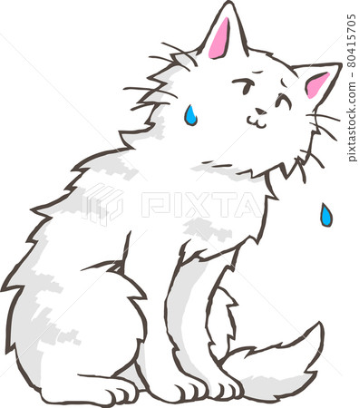 道歉的波斯貓 80415705