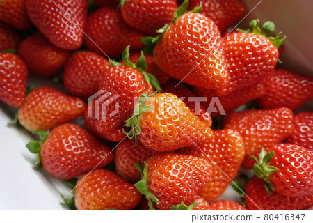 草莓豐收 80416347