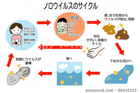 諾如病毒感染的原因和感染圖解 諾如病毒感染的原因和感染圖解 80416353