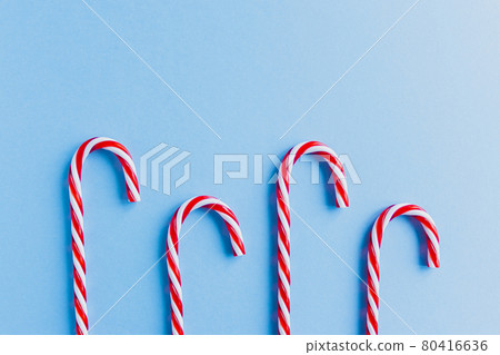Christmas candy canes and fir branches flat lay 80416636
