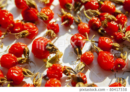 Many rose hips are dried in the sun 80417338
