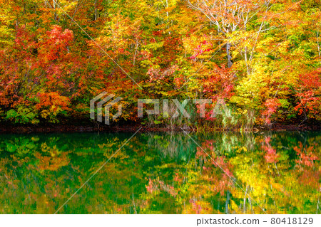 Autumn leaves of Kamike 80418129