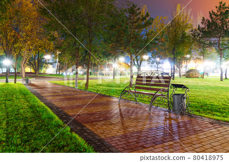 autumn city park at night, trees with yellow leaves, street lights and benches 80418975