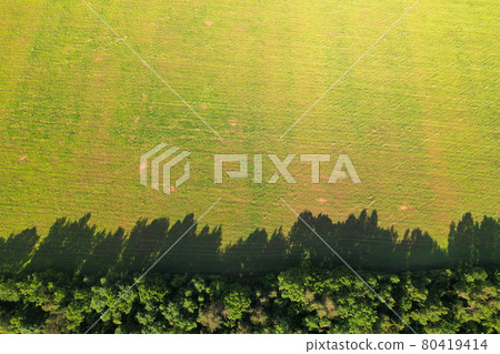 Aerial: garden protection plantings along farmland Aerial: garden protection plantings along farmland 80419414