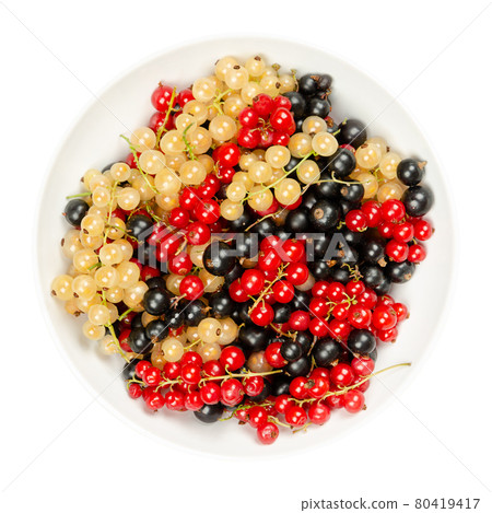 Currant berries, in a white bowl. Fresh and ripe white currant, redcurrant and blackcurrant berries, spherical fruits of Ribes cultivars. Sweet fruits with intense colors. Close-up, from above. Photo. Currant berries, in a white bowl. Fresh and ripe white currant, redcurrant and blackcurrant berries, spherical fruits of Ribes cultivars. Sweet fruits with intense colors. Close-up, from above. Photo. 80419417