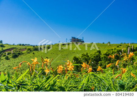 (Gunma Prefecture) Nozori Lakeside Nozori Kisuge on the slope (Gunma Prefecture) Nozori Lakeside Nozori Kisuge on the slope 80419480