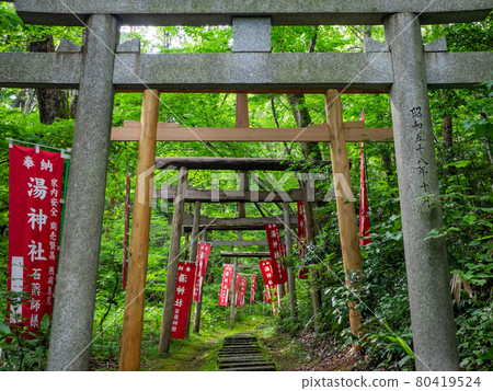 沿著山路排列的鳥居(新潟縣彌彥村由神社) 沿著山路排列的鳥居(新潟縣彌彥村由神社) 80419524