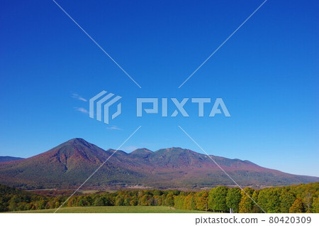 Hakkoda Mountain Range in Aomori Prefecture during the autumn colors 80420309